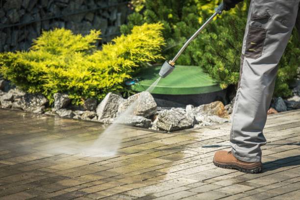 Best Oil Spill Cleanup  in Los Alamos, CA