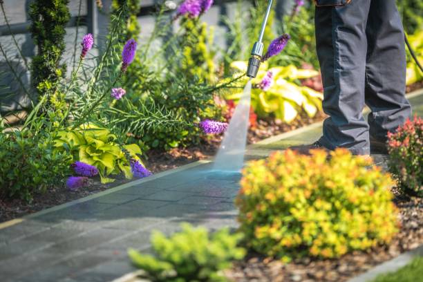 Best Restaurant Pressure Washing  in Los Alamos, CA