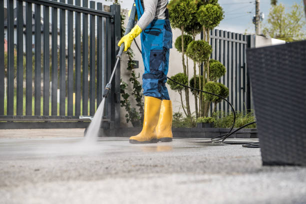 Best Soft Washing  in Los Alamos, CA